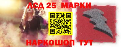 гидропоника Сланцы