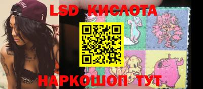 mdpv Славгород