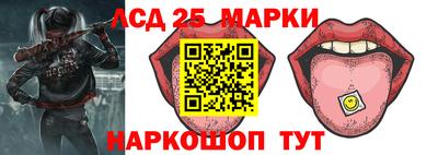 гидропоника Сланцы