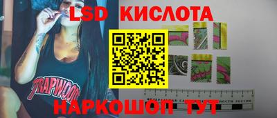 гидропоника Сланцы