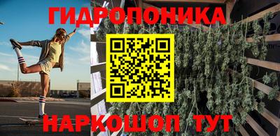 гидропоника Сланцы