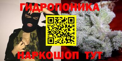 гашик Славянск-на-Кубани